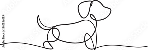 Continuous line drawing of cute dog dachshund puppy pet companion animal sketch illustration