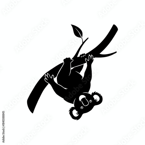 Koala silhouette hanging upside down branch vector illustration