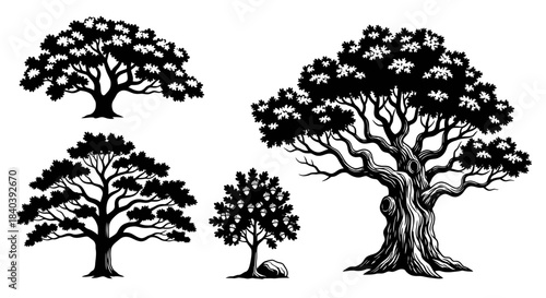 Set of stylized oak tree silhouettes and acorn tree illustration.