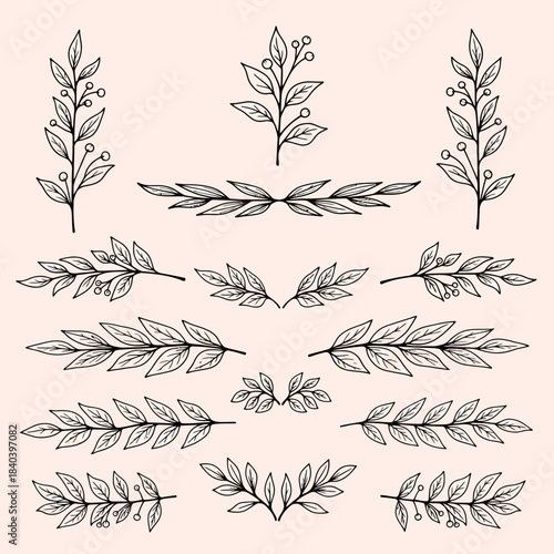Set of hand drawn botanical branches and leaves dividers and flourishes for decorative design elements