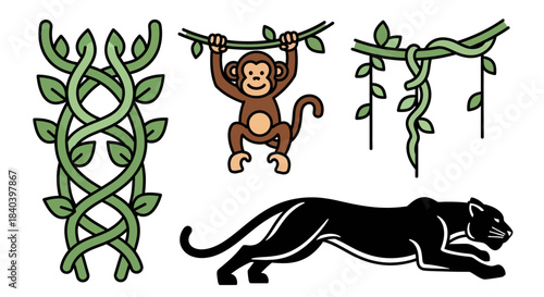 Jungle Animals and Vines Illustration Set with Monkey and Panther.