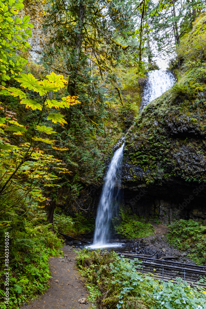 Obraz premium Spectacular Latourell Falls: Columnar Basalt Cliff in Columbia River Gorge