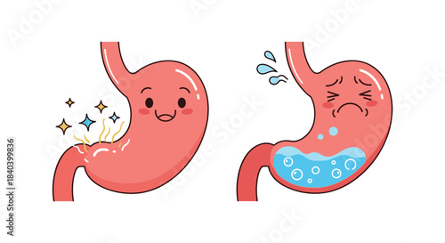 Two cartoon stomachs illustrate contrasting states with one cheerful and clean and the other distressed with fluids and discomfort.