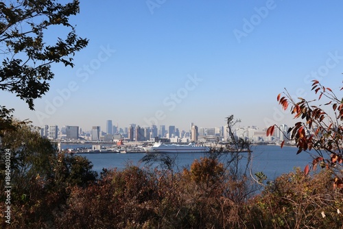 View from Tokyo Bay