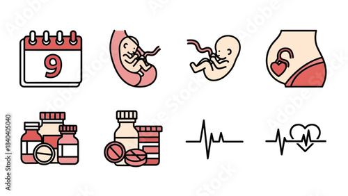 Pregnancy and Prenatal Care Icons - Fetus, Calendar, Pills, and Heartbeat.