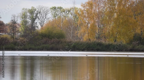 Wallpaper Mural autumn on the lake in the park Torontodigital.ca