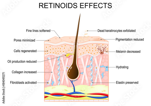 Retinoids effects for skin.