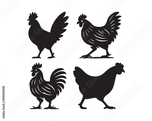 hen & rooster silhouette, hen & Chicken family, farm bird silhouettes, large tail feathers rooster, crowing rooster vector silhouette design set collection, hen silhouette, rooster silhouette