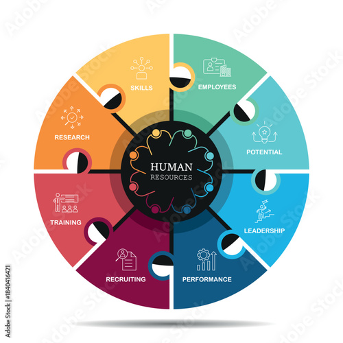 Responsibilities of Human Resources, Info graphic with 8 step, Illustration, Business, Management, Hr, Circle, Strategy, Chart, Marketing, Data, Diagram, Communication, Presentation, Diagram, Step