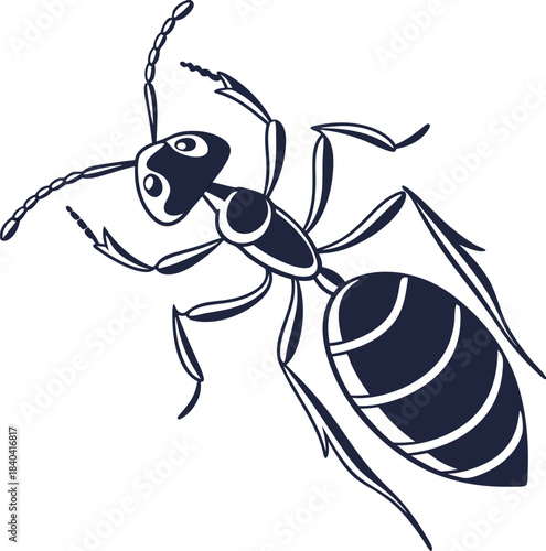 Ant Illustration Vector