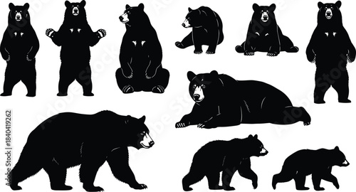 Collection of Bear Silhouettes in Different Poses, Including Standing, Sitting, and Walking, Flat Vector Illustration Set for Wildlife and Nature Design