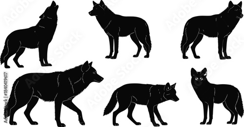 Collection of Detailed Wolf Silhouettes in Different Poses, Including Standing, Walking, and Howling, Flat Vector Illustration Set for Wildlife, Nature, and Animal Design