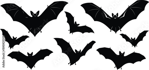 Collection of Dynamic Flying Bat Silhouettes in Various Wing Poses, Halloween and Vampire Themed Animals, Flat Vector Illustration Set for Spooky Design