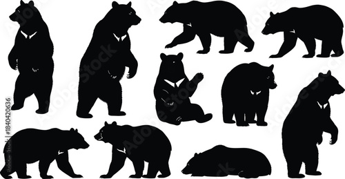 Collection of Dynamic Tiger Silhouettes in Different Poses, Including Walking, Sitting, and Attacking, Flat Vector Illustration Set for Wildlife and Nature Design