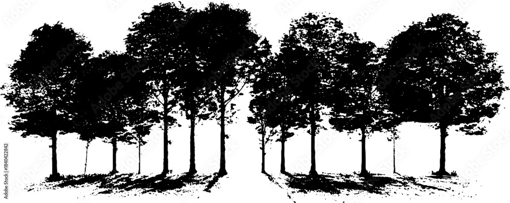 Fototapeta premium Black and white stencil illustration of a narrow forest path with tall trees