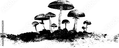 Monochrome stencil illustration of mushroom cluster for urban art and design