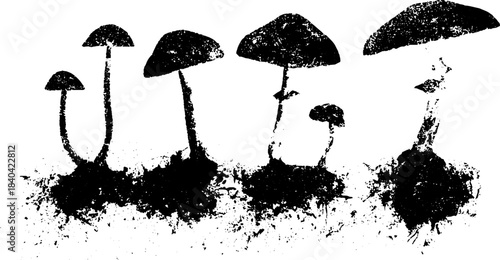 Black and white mushroom growth stages stencil art for urban design