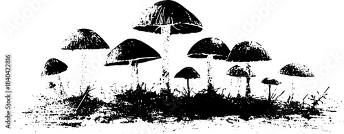 Black and white mushroom cluster stencil illustration for urban art and design