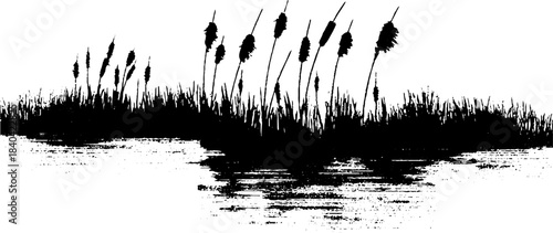 Black and white stencil of narrow marsh pools with cattails for nature design