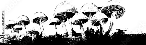 Black and white mushroom cluster stencil illustration for wall art and design