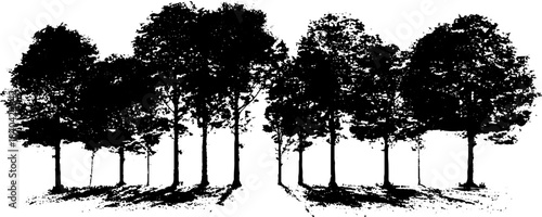 Black and white stencil illustration of a narrow forest path with tall trees