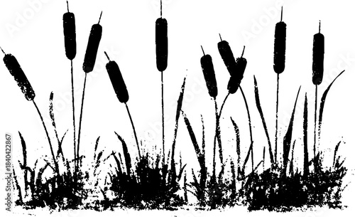 Black and white stencil of narrow reeds in natural habitat for urban art design