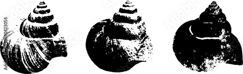 Black and white stencil art of organic shell motif for design and decor