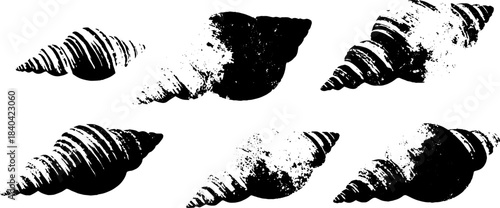 Black and white shell stencil illustration for creative design and art projects