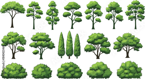 Diverse Set of Green Trees and Shrubs Vector Illustration Collection Garden Hedges Foliage for Landscape Architectural Plan Graphics.