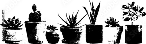 Monochrome stencil illustration of potted succulents for botanical art design