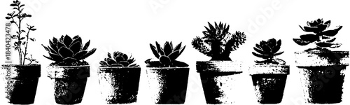 Monochrome stencil design of potted succulents for urban decor projects