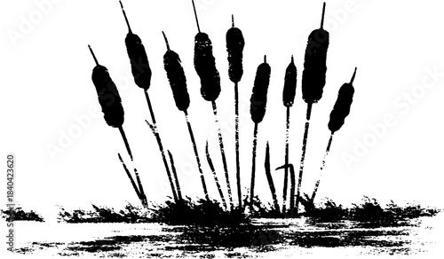 Black and white reed shadows stencil art illustration for nature-inspired design