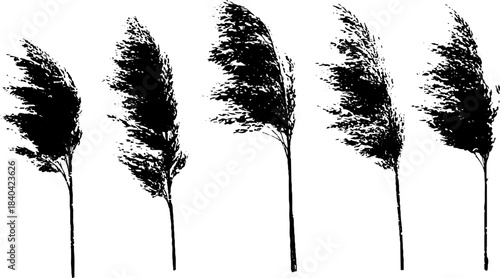 Black and white stencil illustration of reed silhouettes for nature design
