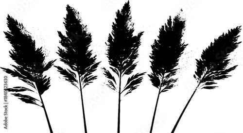 Monochrome stencil of reed silhouettes for nature-inspired design