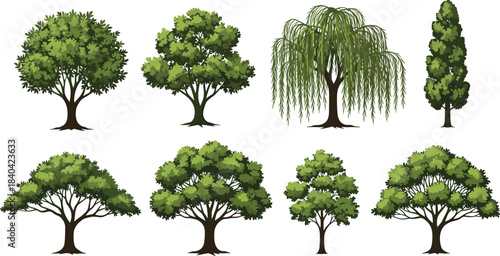 Diverse Set of Vector Tree Illustrations Including Oak, Willow, and Cypress for Architectural, Landscape, and Nature Design Projects