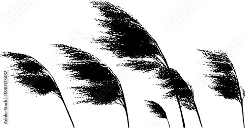 Monochrome stencil illustration of wind-swept reeds for nature design