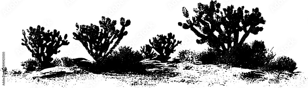 Obraz premium Black and white desert shrubs stencil illustration for design