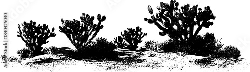 Black and white desert shrubs stencil illustration for design