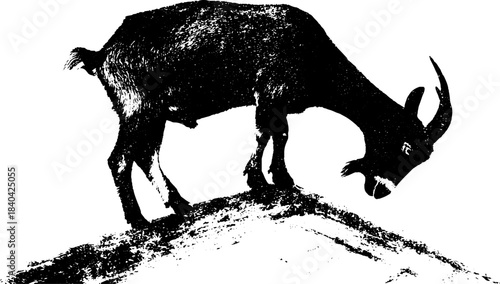Black and white stencil silhouette of a goat on rough terrain