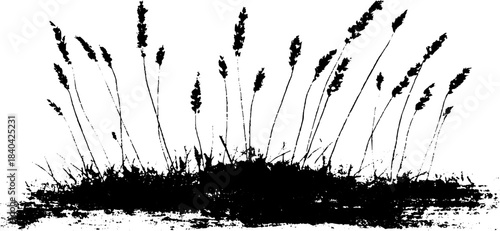 Black and white stencil of slender grass stems for nature design