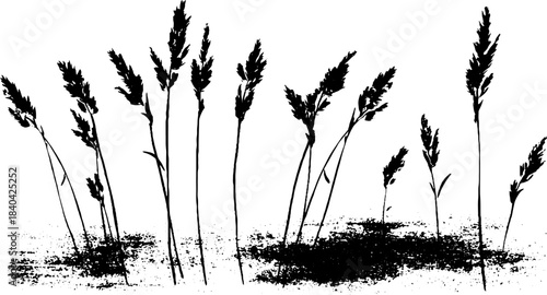 Black and white stencil illustration of slender reeds with rough grunge background for nature-themed designs