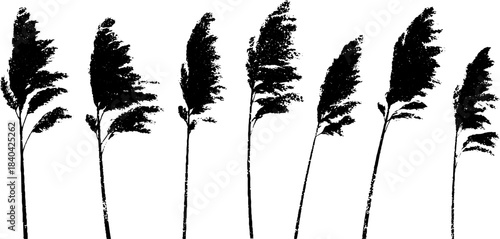 Black and white stencil of slender reeds swaying in the wind - nature design for posters and prints