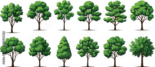 Beautiful Autumn Tree Vector Illustration Set with Golden Orange Foliage for Seasonal Design, Fall Landscape, and Nature Graphics.