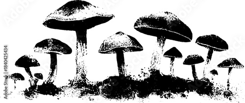 Black and white stencil illustration of small woodland mushrooms