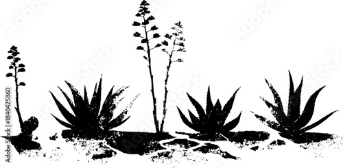 Monochrome desert plant silhouette for nature-inspired wall art