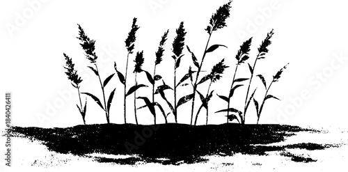 Black and white stencil illustration of submerged reeds