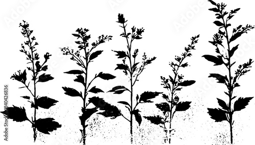 Black and white stencil illustration of tall alpine shrubs for nature art and design
