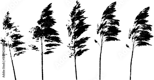Black and white stencil illustration of tall dried reeds for nature designs