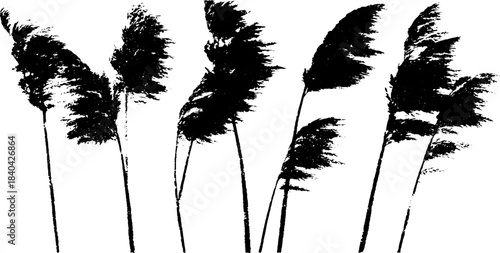 Black and white stencil illustration of tall dried reeds in nature art design