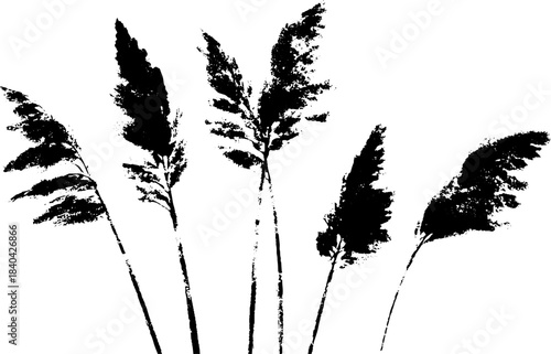 Black and white stencil art of tall dried reeds for natural decor
